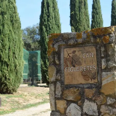 Figueretes Hébergement de vacances