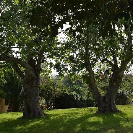 Figueretes Caldes de Malavella