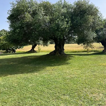 Semesterbostad Figueretes *