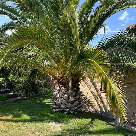 Figueretes Hébergement de vacances Caldes de Malavella